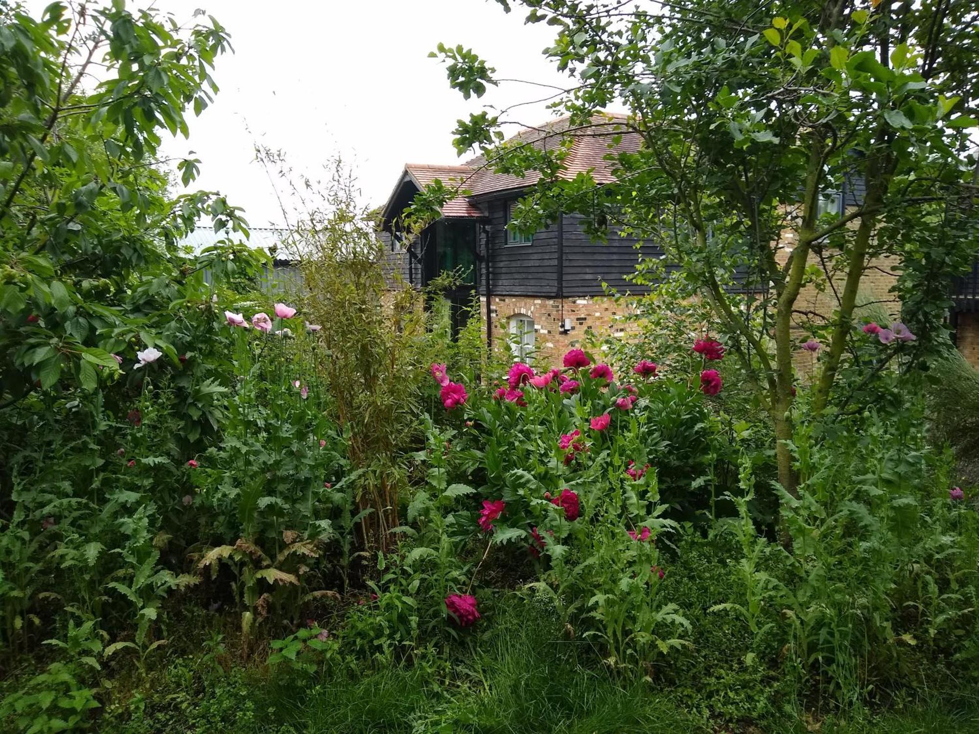 Appartamento Watercress Barns Sittingbourne Esterno foto
